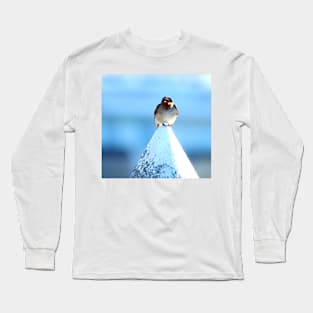 Welcome Swallow Long Sleeve T-Shirt